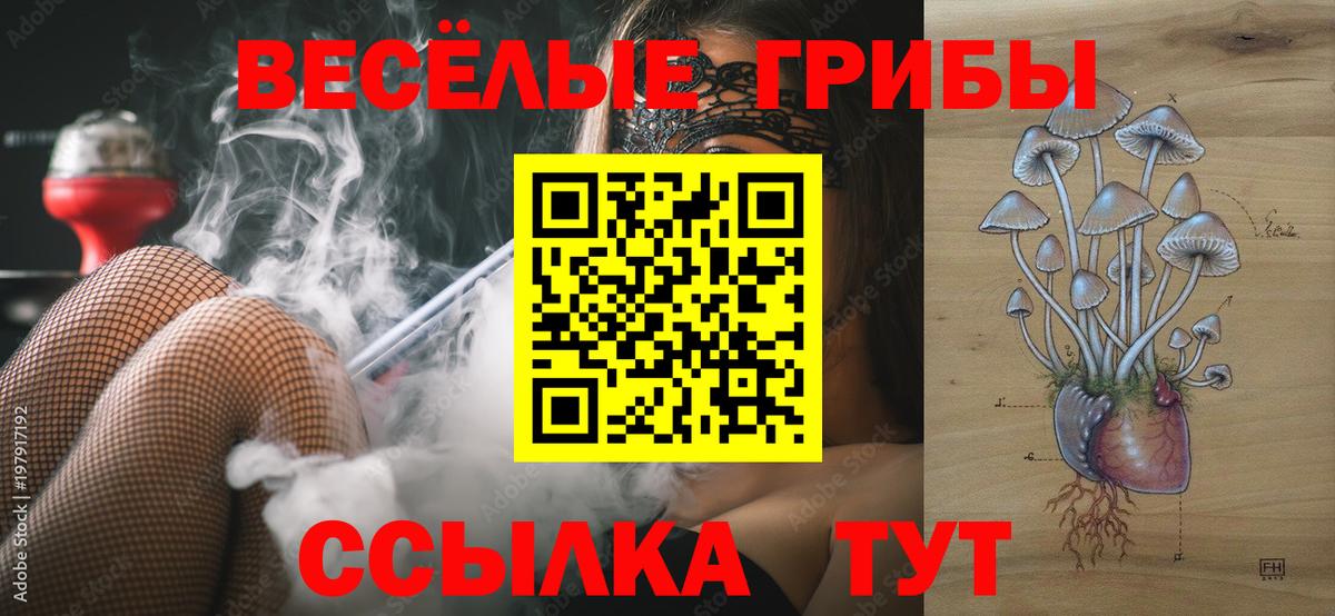 Псилоцибиновые грибы мухоморы  наркота  Владивосток  Вход с VPN 
